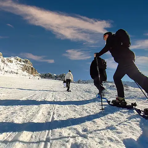 Snowshoeing